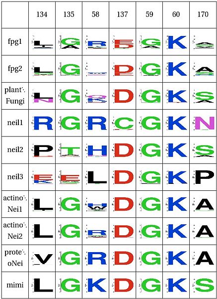 Image:Lys60Stability.jpg