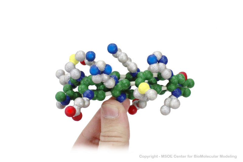 Image:SecondarStructure2 centerForBioMolecularModeling.jpg