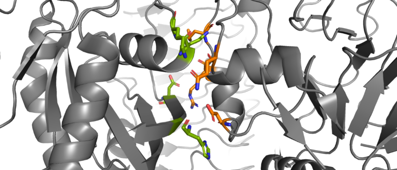 Image:Thumbnail PyMOL MRAS PP1Cpic.png