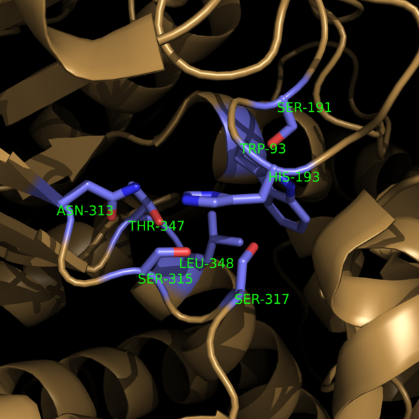 Image:Active Site Residues.png