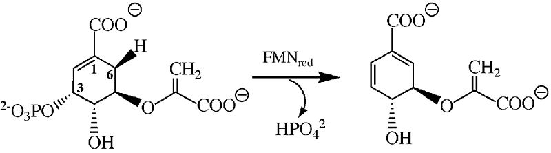 Image:Chorismate Synthase Mechanism.jpg