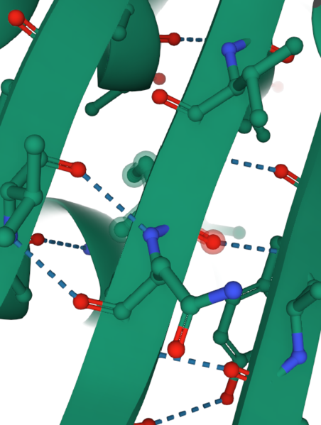 Image:H bonds 2.png