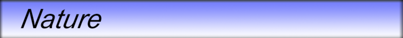 Image:Journal-Nature-banner.png