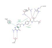 Folate Residue Interaction