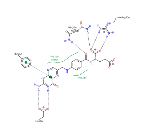 Folate Residue Interaction 