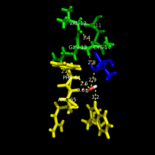Image:Hydrogen coordination of conserved residues.png