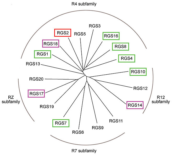 Image:Kosloff-NSMB2011-Fig1b.jpg