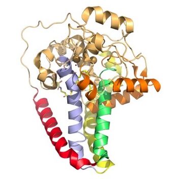 Figure 3. Hydrophobicity of each of the 12 helices found in SCD.  red, blue, yellow, and green represent helices found in the transmembrane region.  Orange helices represent helices found on the surface of the membrane.  Pale yellow helices represent the hydrophilic helices.