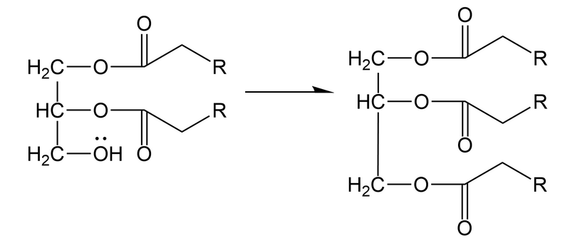 Image:General schematic.PNG