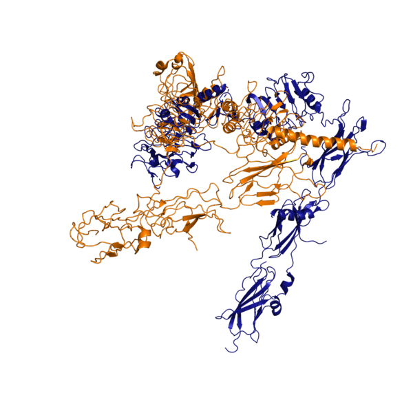 Image:Image 6.png