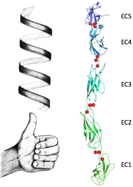 Image:C.png