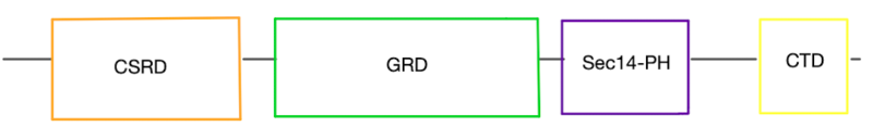 Image:Csrd,grd,sec,ctd.png