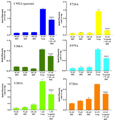 Figure 3.  The effect of BDE-100 on the verapamil-stimulated ATPase activity of the six Pgp mutations. The effect of BDE-100 in the absence of verapamil on each mutant was determined at 50, 75 and 100 μM. The EC50 of verapamil-stimulated ATPase activity of each mutant was pre-determined (Supplementary Fig. S4) and is shown here. The level of BDE-100 inhibition of the verapamil-stimulated ATPase EC50 for each mutant is also shown. P values were were determined from a two-tailed unequal variance test: ****, p =< 0.0001; ***, p =< 0.0001–0.001; *, p =< 0.05–0.01. The scale of each graph is represented to enhance the differences of verapamil concentration on ATPase for the given mutant, particularly since one mutant, F728A, exhibited a considerably lower Vmax compared with the other mutants.