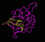 Loc 47-72 interaction with SLT