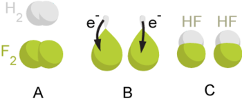 Example of the Simple Redox Reaction Catalyzed by Oxidoreductases