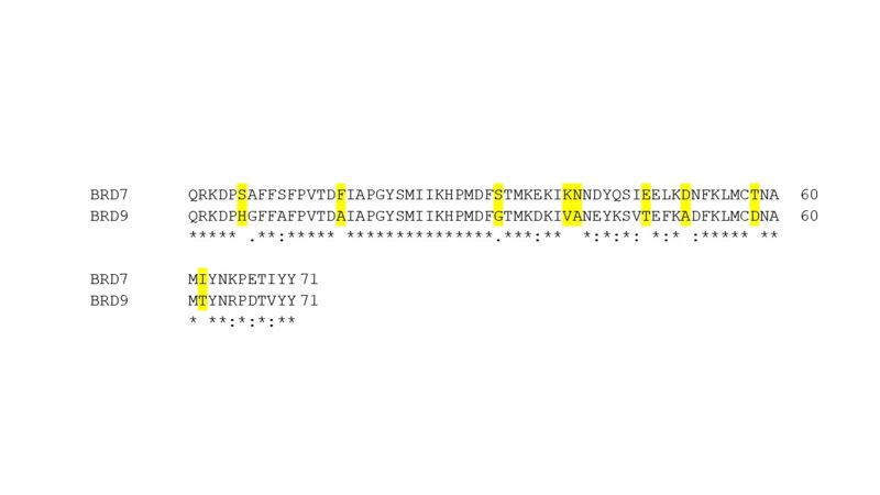 Image:BRD7 sequence alignment.jpg