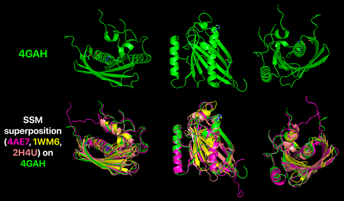 SSM superposition of Them5 (4AE7), Them2 (2H4U) and PaaI (1WM6) on Them4 (4GAH) as an example to reveal the conserved folding amongst these proteins