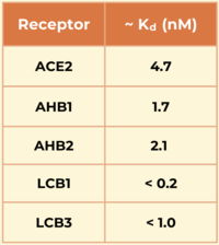 Table 1. Dissociation constants (Kd) in nM for SARS-CoV-2 spike RBD binding to ACE2 and engineered minibinders, measured by biolayer interferometry to compare affinities for the spike protein.