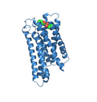 A. MRGPRX2 (7S8P) depicting the depth in which the ligand interacts within the receptor