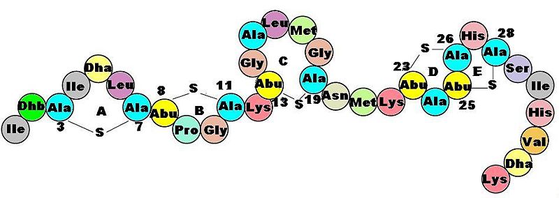 Image:Nisin 2d amino structure.JPG