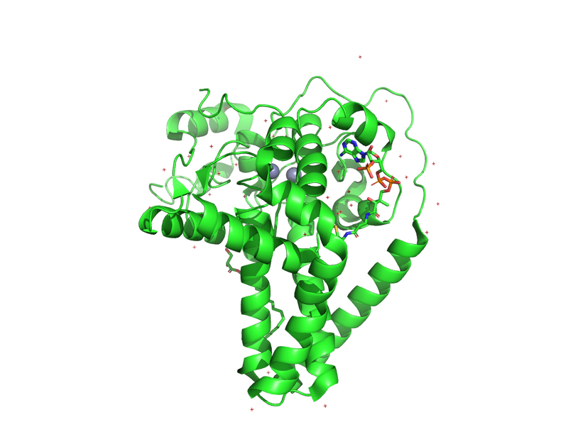 Image:Pymol SCD Protein.png