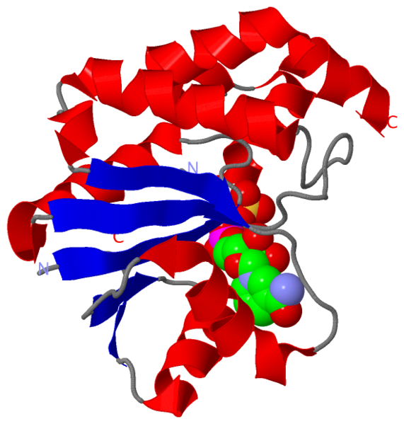 Image:1hyb.png