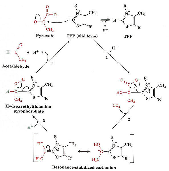 Image:Mechanism photo.jpg