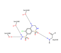 Figure 2. Stabilizing structure between glutamate receptor 2 and chlorothiazide.