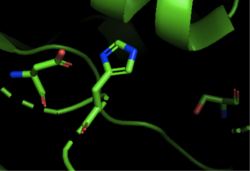 Figure 1: A still image of 4Q7Q's putative catalytic triad.