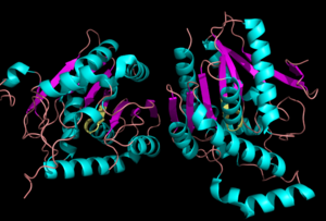 Crystal Structure of MGL