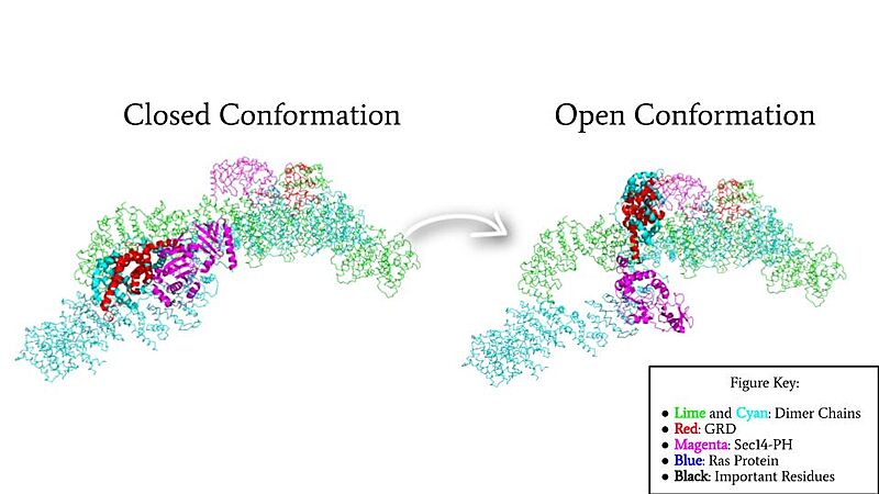 Image:Domain Rotation.jpg