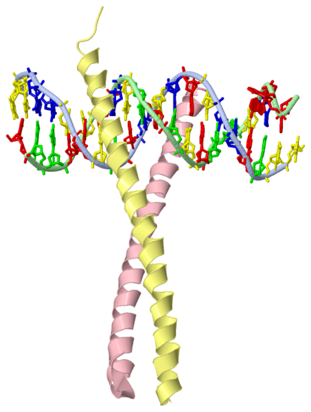 Image:1ysa.png