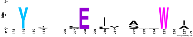Four strictly conserved residues of five known functional MgtC orthologs of the soluble C-terminal domain.