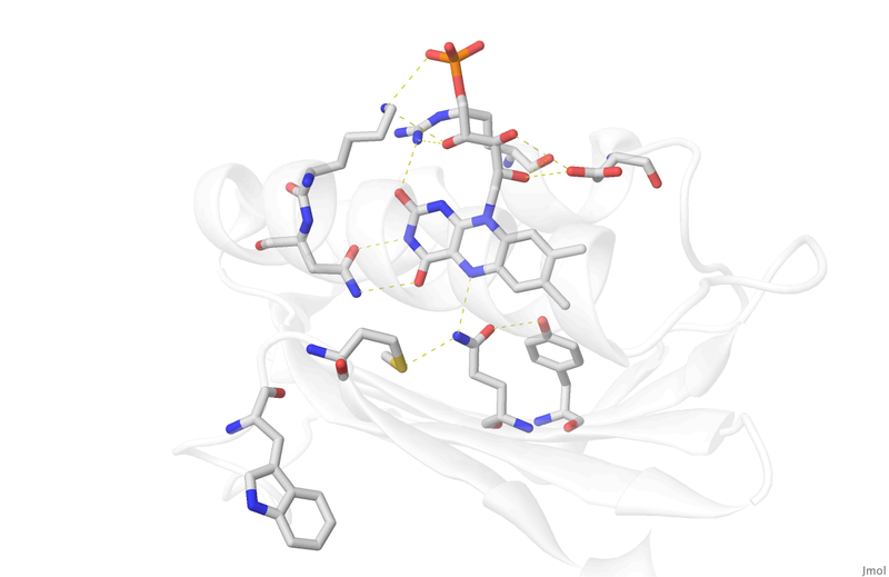Image:008 Fig 5c.png