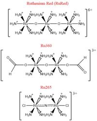 Fig. 2 Structures of the ruthenium-based inhibitors of the MCU. Created using ChemDraw Professional 16.0