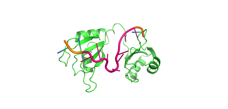 Image:V-cleft 2.png