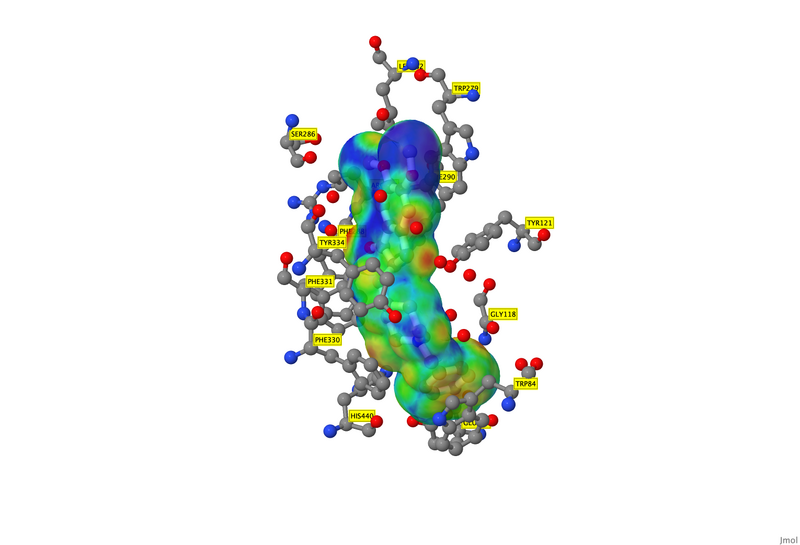 Image:1eve-bindingSite 3.png