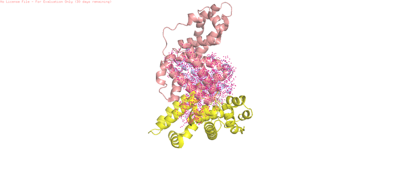 Image:HSA Overall Structure.png