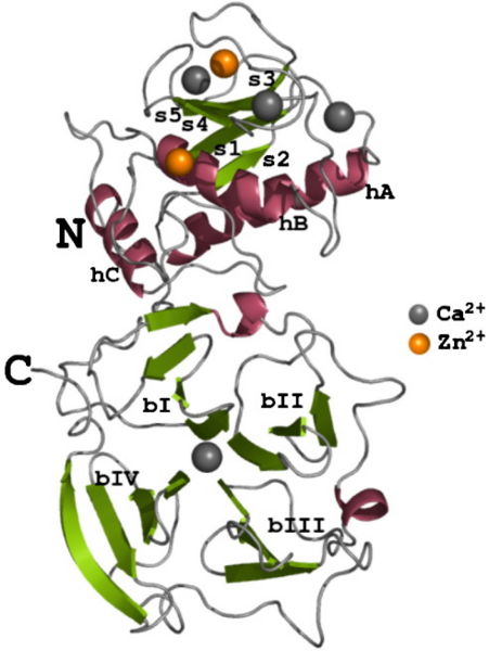 Image:MMP crystal.jpg