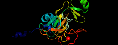 .Figure 1. Showing the Binary Complex of the Mixed Lineage Leukaemia (MLL1) SET Domain with the cofactor product S-Adenosylhomocysteine. 