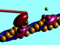 The movement of myosin on actin filament2mys