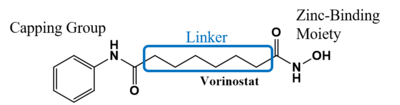 Figure 1.  The anticancer agent vorinostat is an example of an HDAC inhibitor that is currently undergoing clinical trial.