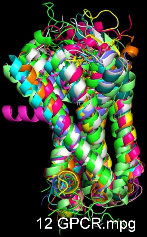 Fig3: Allignmen of GPCRs(4).