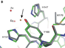 Fig.1: Cu(I) binding geometry