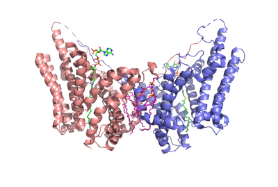 Figure 1. The coolest image of this protein EVAH!!!