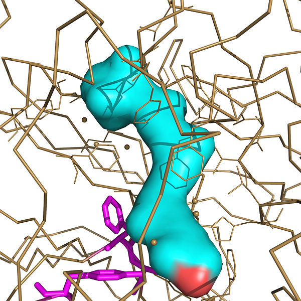 Image:JT Pymol Practice Image.jpg