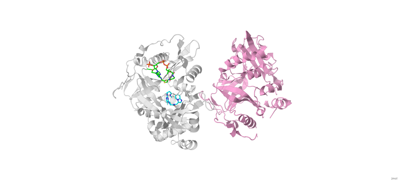 Image:006 Fig 1a.pngj