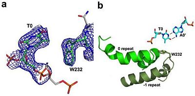 Fig.4