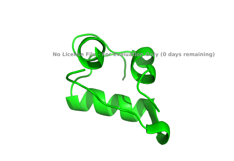 Image:Insulin Molecule.png