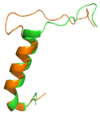 Overlay of sCT and rAmy